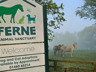 Animal charity appeals for funds as costs surge