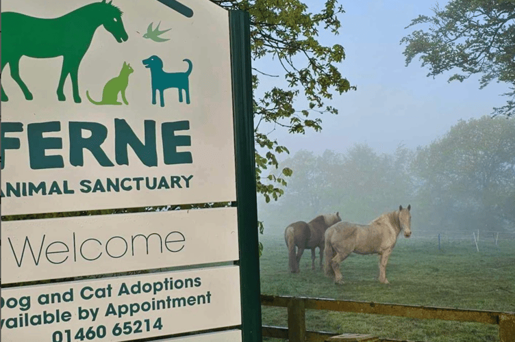 Families can join Ferne Animal Sanctuary for a Halloween celebration on October 31