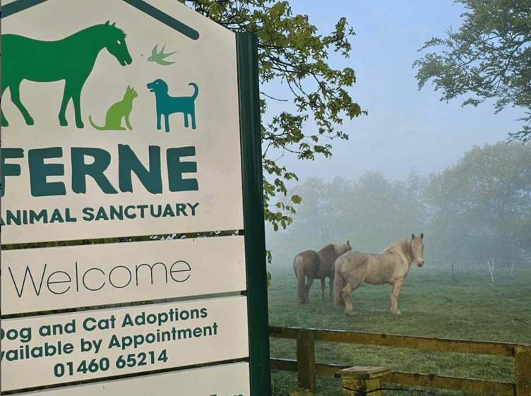 Families can join Ferne Animal Sanctuary for a Halloween celebration on October 31