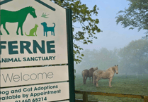 Animal sanctuary gears up for annual summer fete