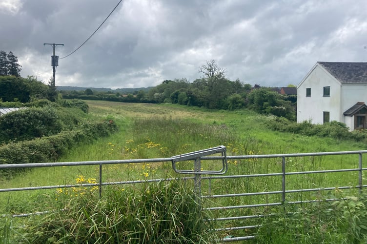 View of the proposed Trinity Farm nature reserve from Hilly Head in Rockwell Green (Daniel Mumby)