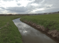 Free tour with wildlife trust
