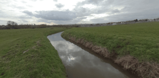 Free tour with wildlife trust