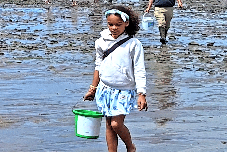 All ages took part in the beach safaris