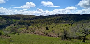Tour of 'deserted medieval villages' on the Quantocks