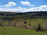 Tour of 'deserted medieval villages' on the Quantocks