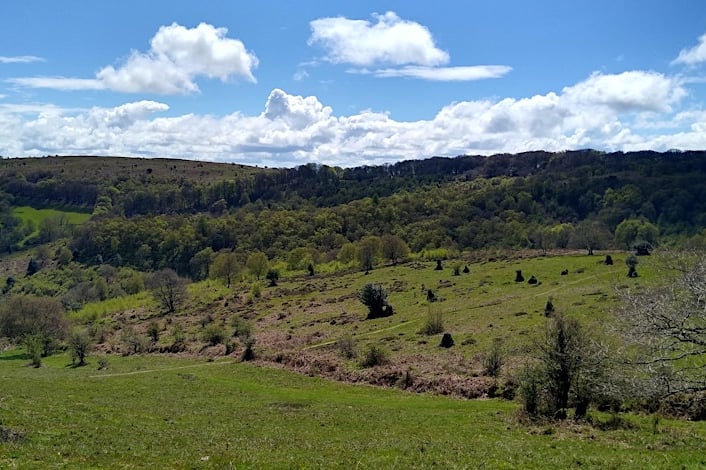 The tours will explore medieval sites and 'examine them for clues'