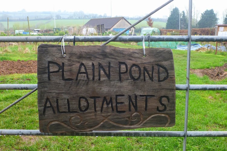 The Plain Pond allotments, in Wiveliscombe, where weedkiller containing glyphosate has been banned.