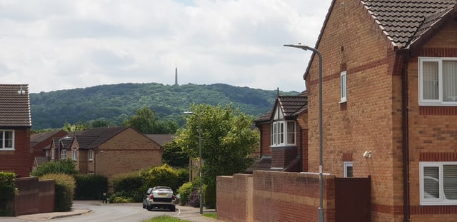 Wellington Monument dominates the town's skyline from high up on the hills. Picture taken in The Brambles, on the Burrough Way estate