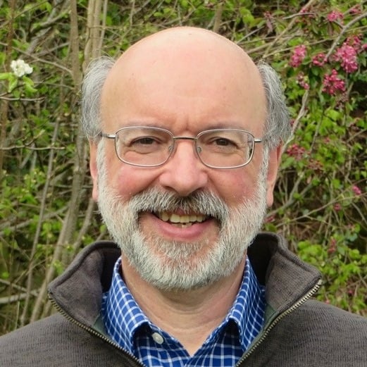 Somerset Council Green Party group leader Cllr Dave Mansell is warning the authority may still go bankrupt.