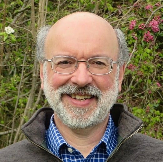 Somerset Council Green Party group leader Cllr Dave Mansell is warning the authority may still go bankrupt.