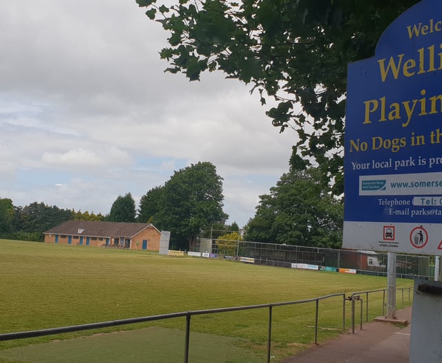 Town council to lead Wellington playing field management