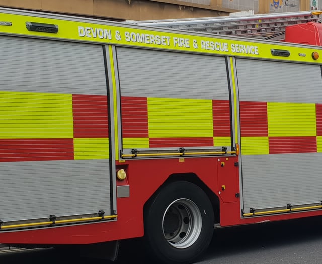 Blaze destroys garden shed and sets neighbour's property alight