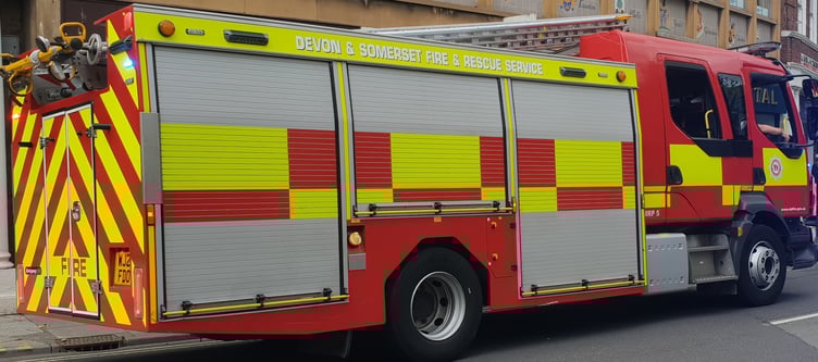 Wellington firefighters tackled a garden shed blaze.