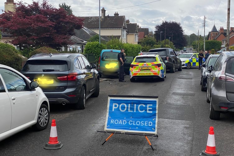 The scene of Sunday's crash in Wellesley Park, Wellington.