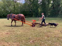 Princess Royal horse and head groom give logging demonstration