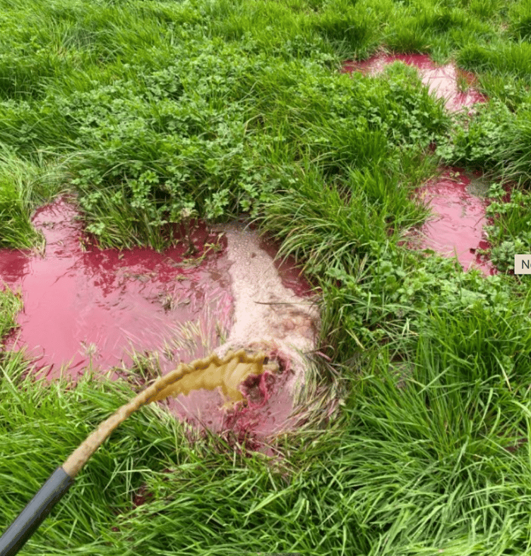 Dye was used to highlight the waterlogged field and slurry flowing across the field toward the watercourse.