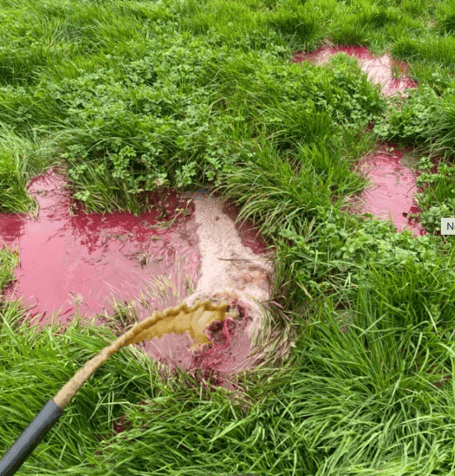 Dye was used to highlight the waterlogged field and slurry flowing across the field toward the watercourse.