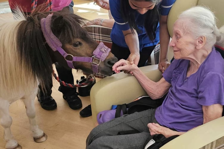 Faye Coates, a resident of Camelot House, meets miniature Shetland pony Flora.