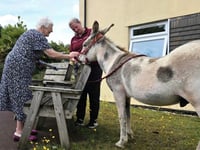 Dementia care home residents meet donkey Charlie