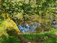 Time to act to keep nature area 'calm and serene'