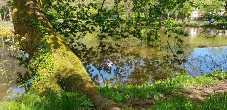 Wellington Basins, a 'calm and serene beauty spot'.