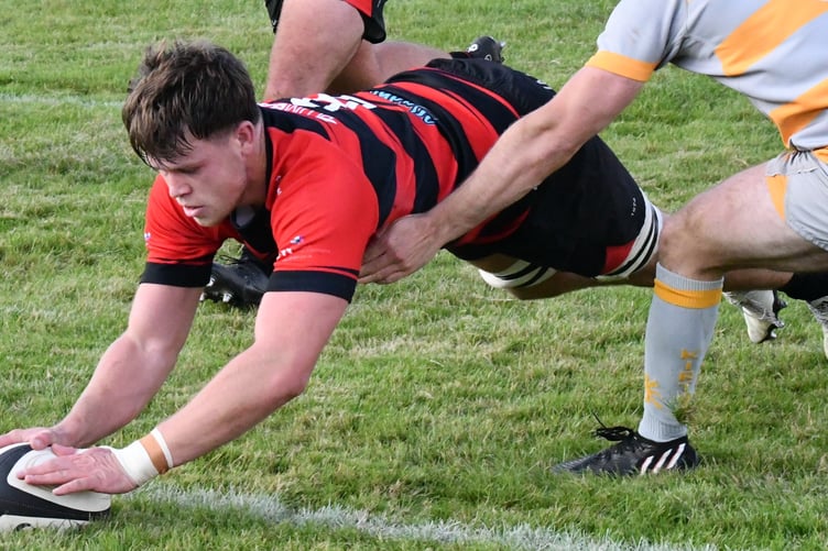 Will Hodgson - has recovered from injury