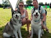 Sanctuary to host day of tail-wagging fun with 30th dog show