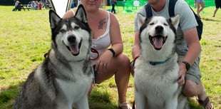 Sanctuary to host day of tail-wagging fun with 30th dog show