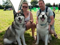 Sanctuary to host day of tail-wagging fun with 30th dog show