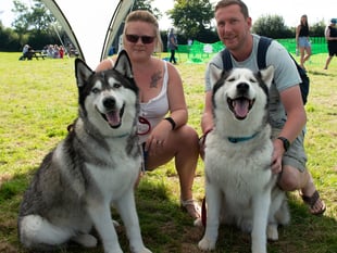 Sanctuary to host day of tail-wagging fun with 30th dog show