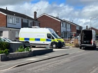 Man charged after cannabis factory found in Wellington