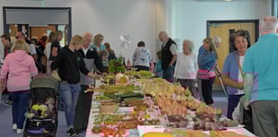 Success and crowds at the 89th Wellington Flower Show
