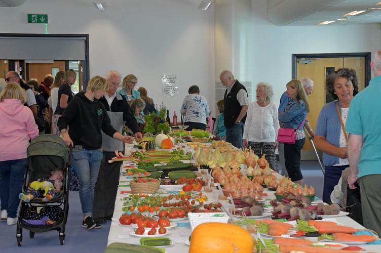 Wellington Flower Show 2024