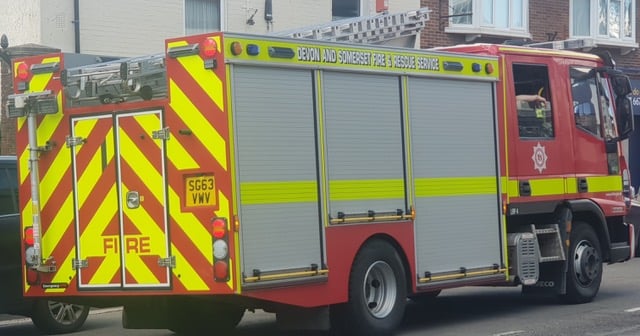 Wellington crews rush to house fire which killed pets