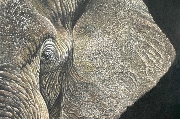 African Elephant by Sue Salter (Photo: Sue Salter)