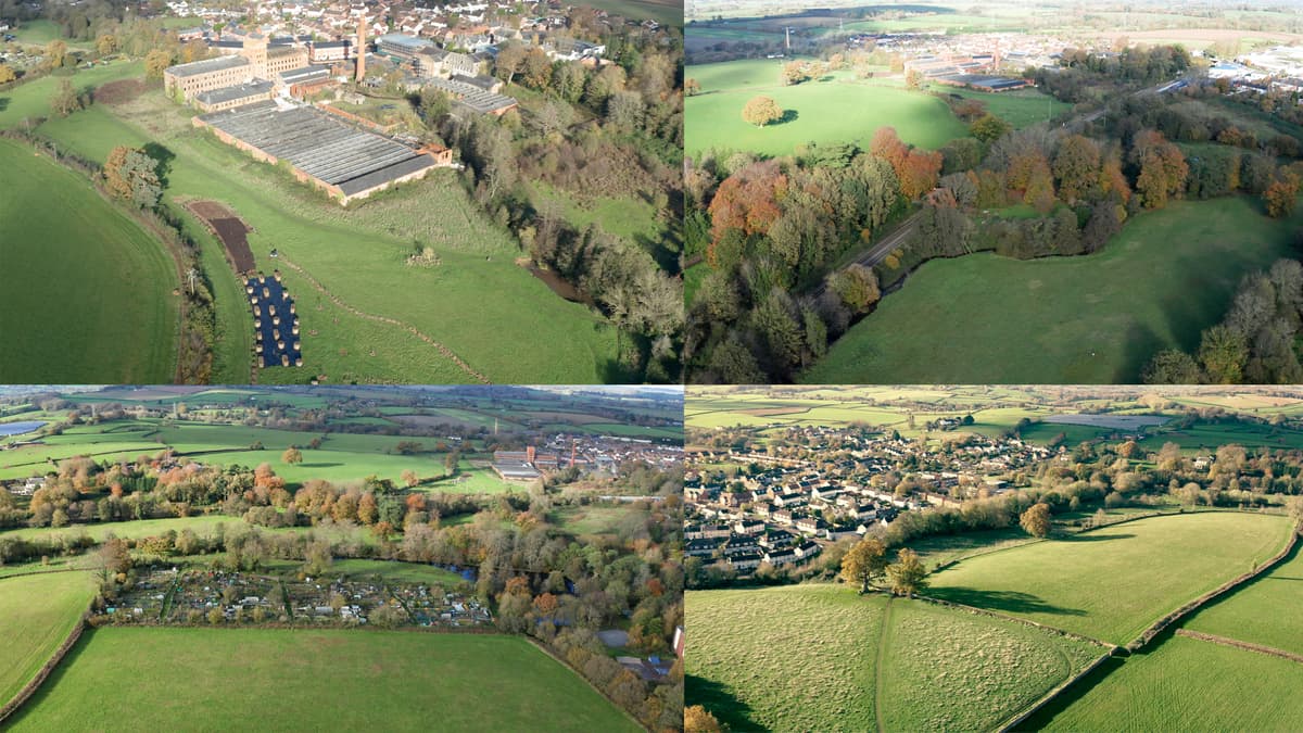 'Ambitious plans' will see thousands of trees planted in Wellington