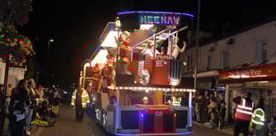 Wellington Carnival a "great success" says Mayor
