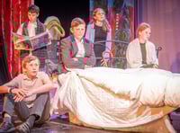  Wellington School to put on Roald Dahl spectacle