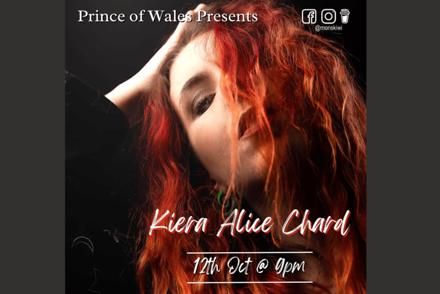 Wellington artist give solo vocal performance at village pub