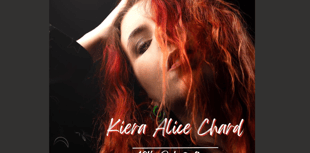 Wellington artist give solo vocal performance at village pub
