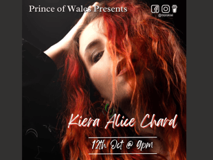 Wellington artist give solo vocal performance at village pub