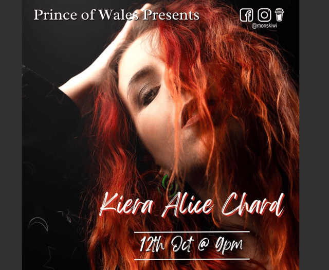 Wellington artist give solo vocal performance at village pub
