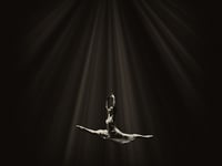 Rediscover your love for Ballet with adult classes near Wellington