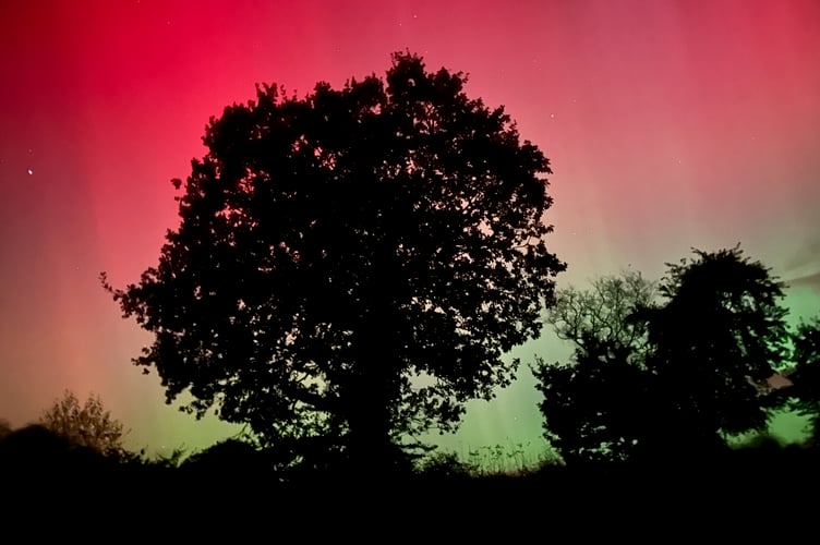 Aurora Borealis seen from Wrangway (Photo: Becs Martin)