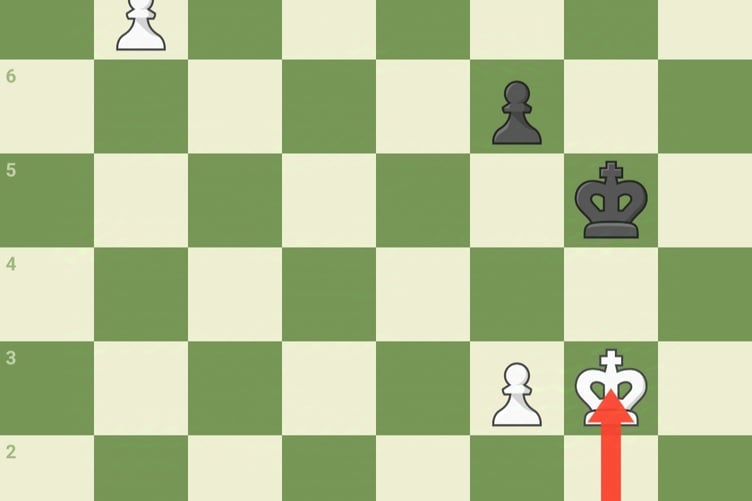 Twenty-six taking part in Wellington Chess Club's championship