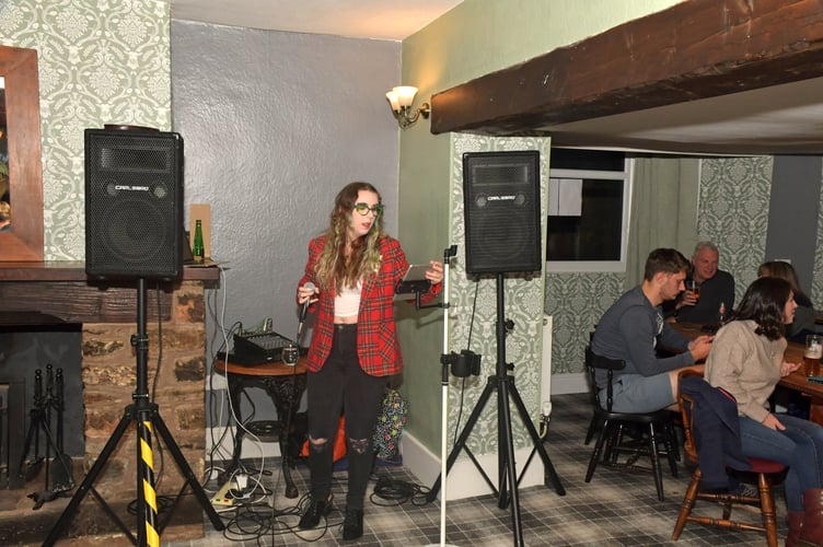 The Prince of Wales Inn hosted its second successful gig featuring Wellington-based artist Kiera Alice Chard.