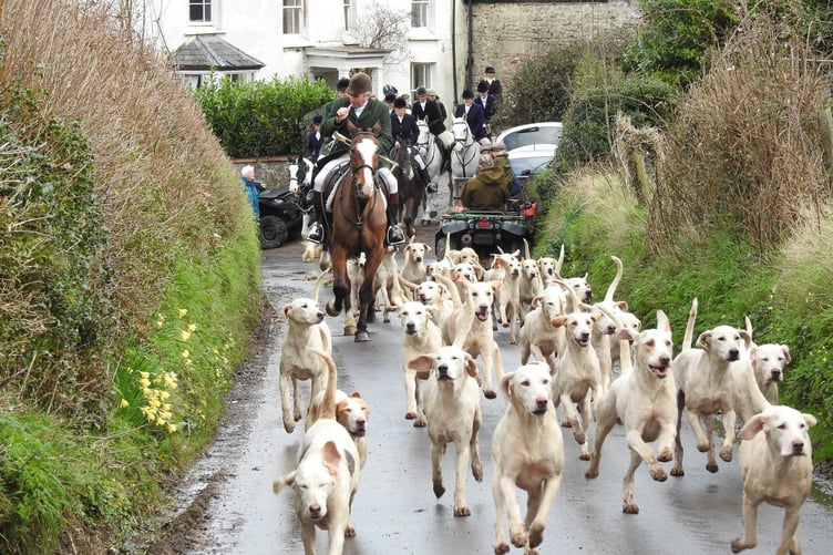 Foxhounds and huntsmen and women on horseback with the Taunton Vale Harriers at an earlier meet.