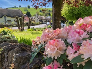 Open gardens become major hospice fund-raiser