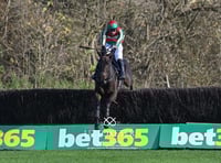 David Pipe's Diary: Twenty winners and counting 